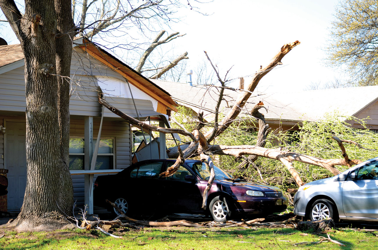 A tree fell on cars and damaged a roof in northwest Oklahoma City (Photo: Bob Nigh)