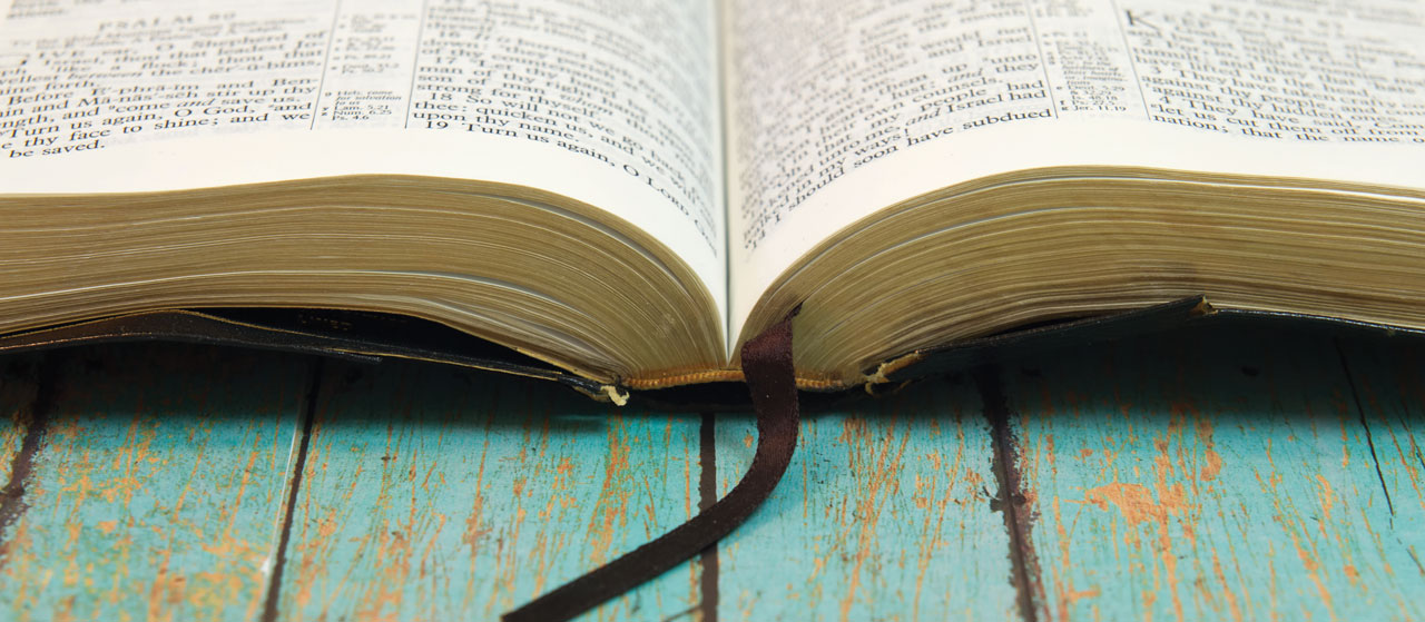 BLOG: Saddleback, pastors, Baptists & the Bible