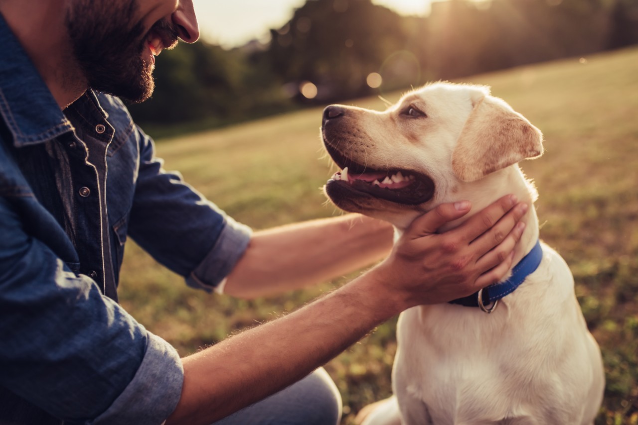 Dogs: The evangelism tool you didn’t know you had