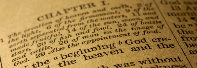 The Difference Between the Beginning and the End of the Bible