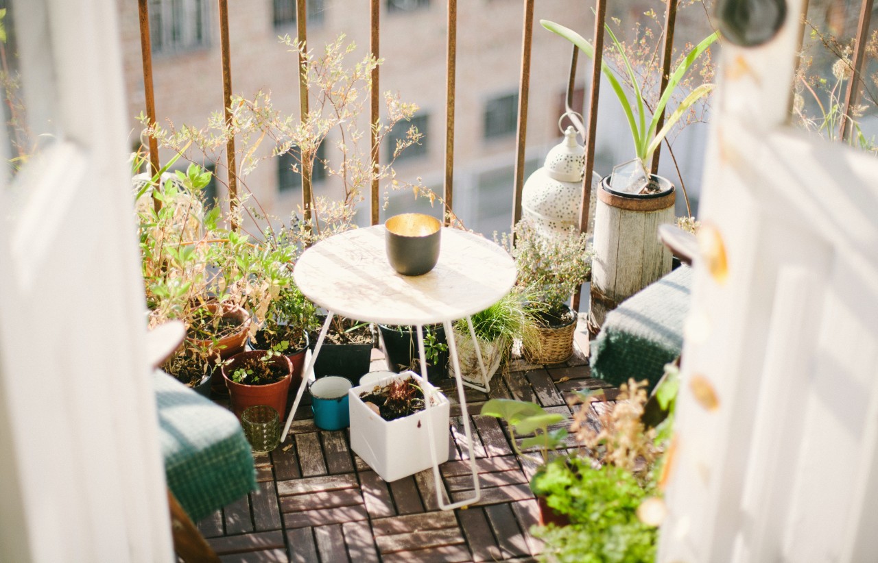 BLOG: Create your own morning garden