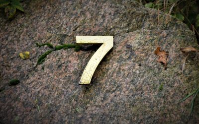 Rite of Passage: Seven things they didn’t tell you