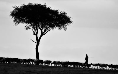 Rite of passage: A satisfied keeper