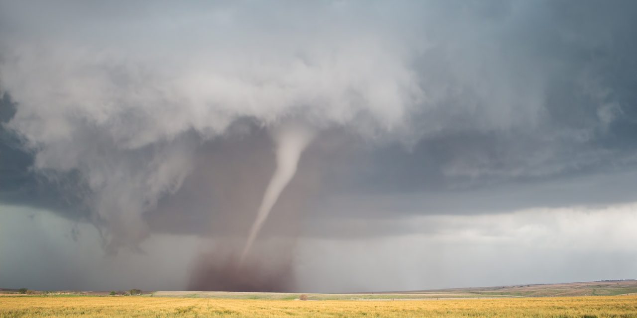 BLOG: Tornadoes and tomatoes