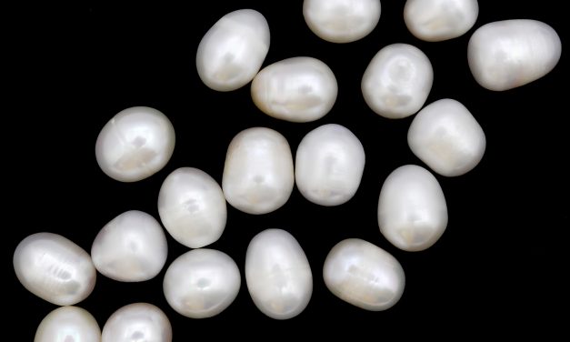 Blog: Pearls, perils & social media