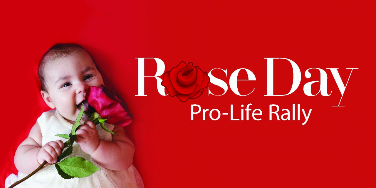 At 30 years, Rose Day still making impact for the unborn
