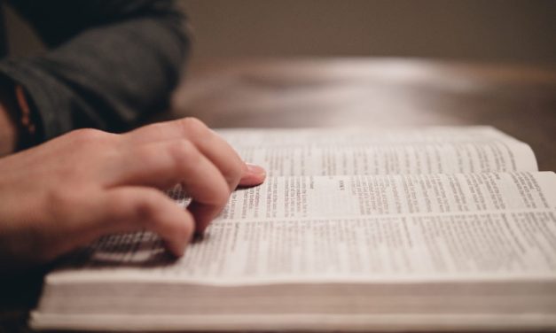 BP Toolbox: 3 reasons to study the Bible