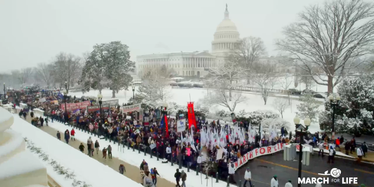 51st March for Life an opportunity to ‘refocus’ pro-life efforts