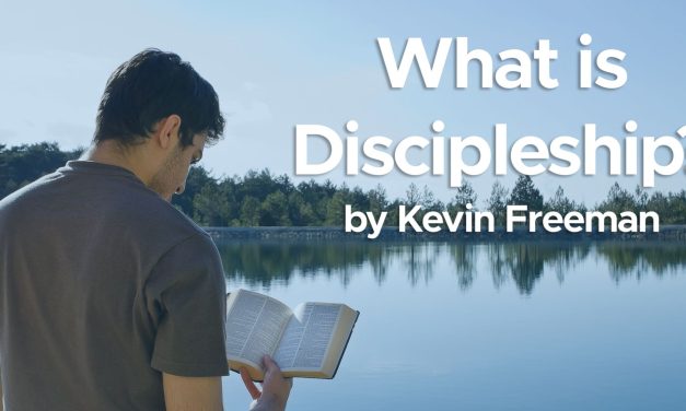 Insight – What Is Discipleship?