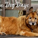 Just Joe: Dog Days