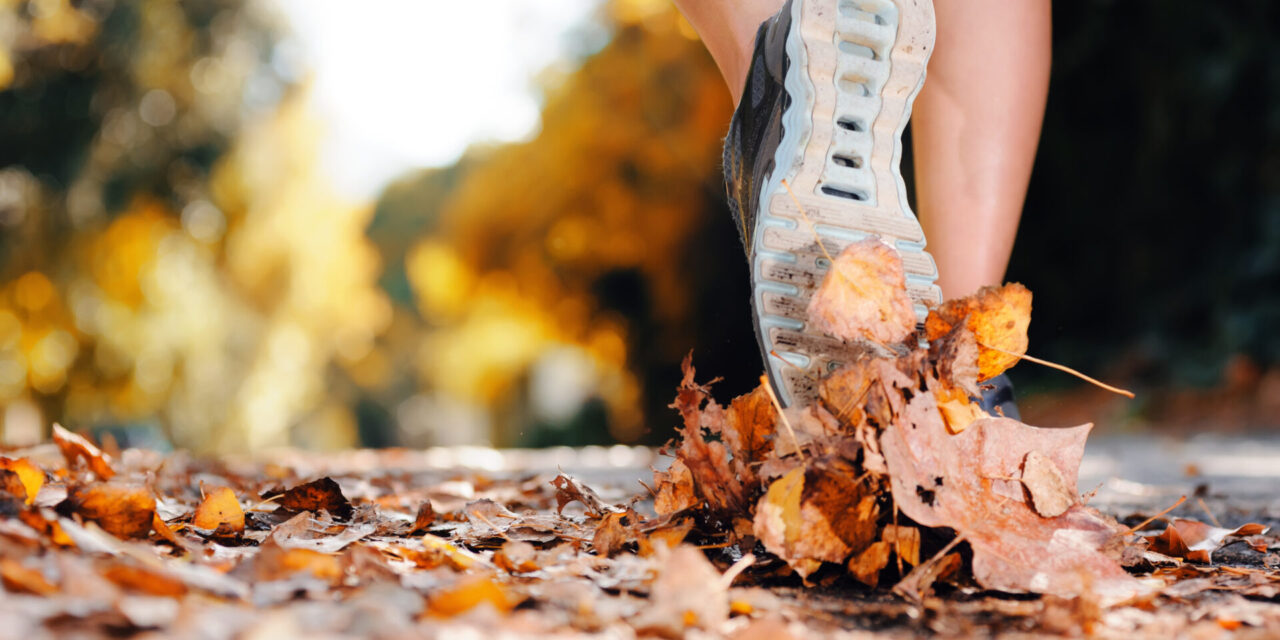 Connect – Giving Thanks Even in Hard Times