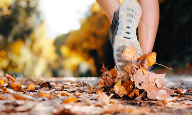 Connect – Giving Thanks Even in Hard Times