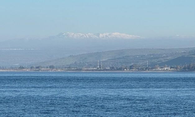 CONNECT – Trust the Word