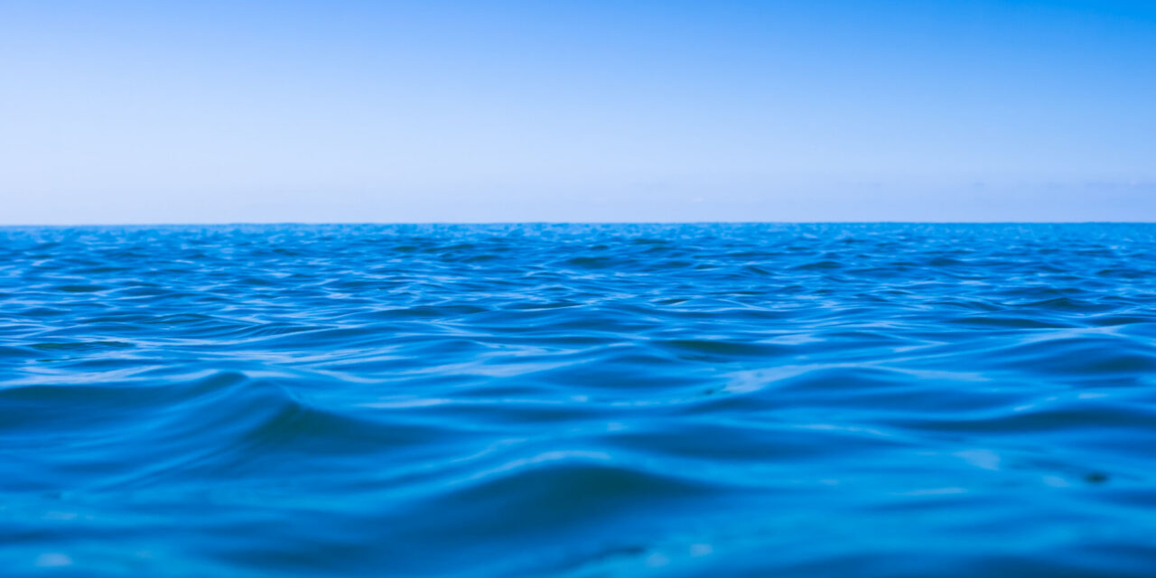 BLOG: How Much More He Provides…