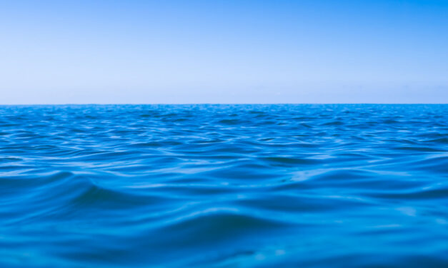 BLOG: How Much More He Provides…