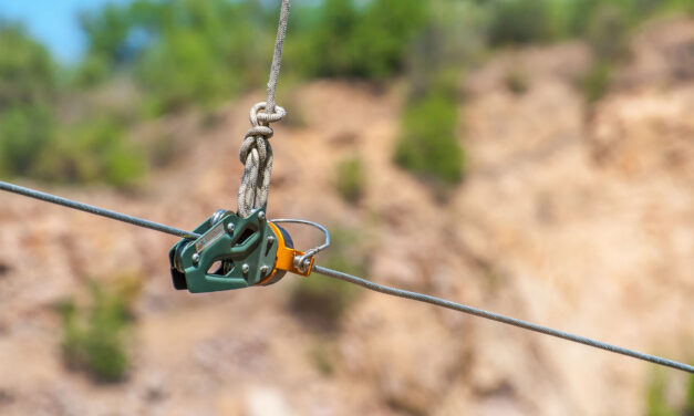 Just Joe – Connected to Jesus