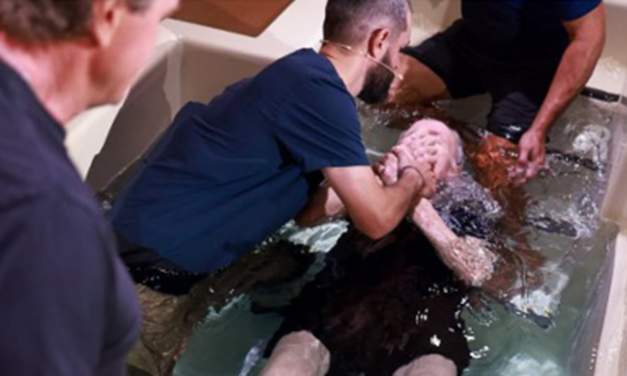Longtime Believer Follows Jesus in Believer’s Baptism at 95 Years Old